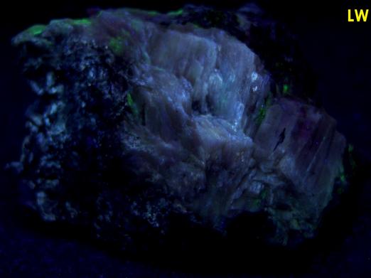 SW LW fluorescent SORENSENITE, AEGIRINE ACMITE - Kuannersuit plateau (Kvanefjeld), Ilimaussaq complex, Narsaq, Kujalleq, (Kitaa Province; West Greenland), Greenland, Denmark - Sørensenite type locality - ex Tom Pankratz