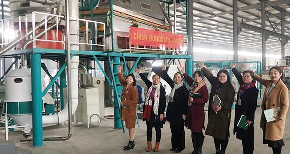 120T/24h maize milling machine in Hongdefa