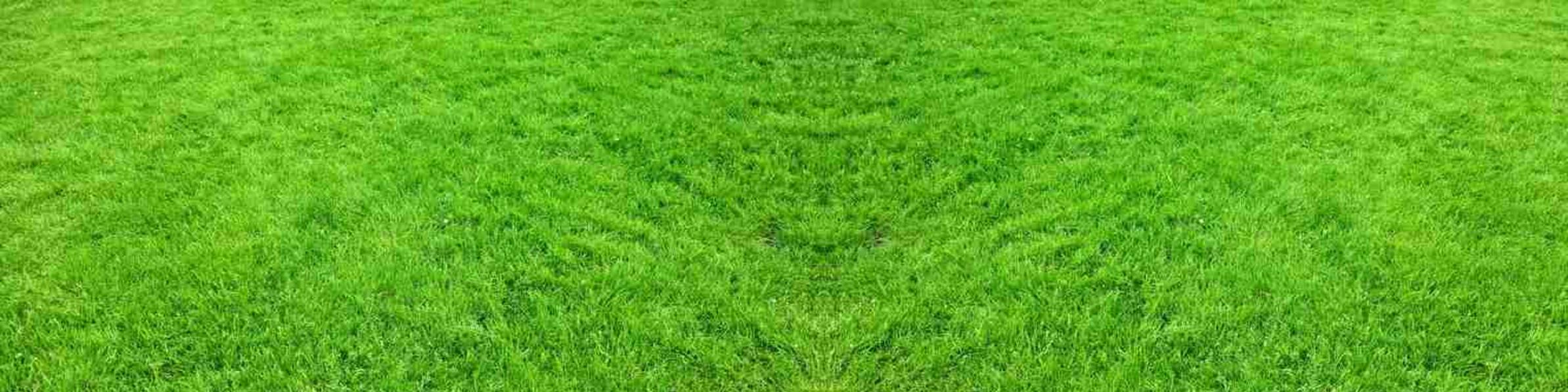 RC GPS Tracked Robotic Lawn Mower