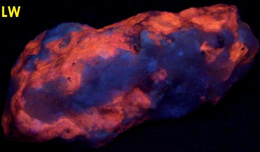 fluorescent Tugtupite, Aegirine Acmite,Tasseq Slopes (Taseq Slopes), Tasseq area, Ilimaussaq complex, Narsaq, Kujalleq, Kitaa Province, West Greenland, Greenland, Denmark