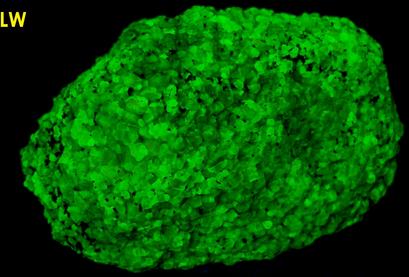 SW LW fluorescing WILLEMITE, FRANKLINITE - Franklin Mine, Franklin, Franklin Mining District, Sussex County, New Jersey, USA