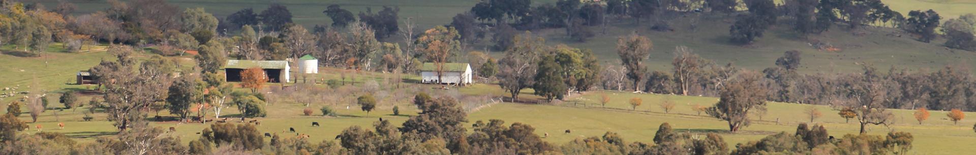 outstaning views, walks and nature experiences