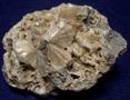 STILBITE - Teeter's Quarry, Adams Co., PA, USA