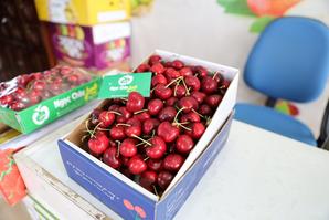 Cherry đỏ Mỹ