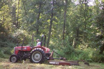 deer habitat