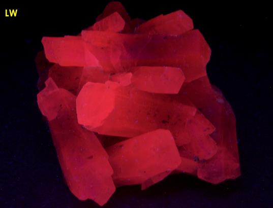 fluorescent CALCITE Chamosite clinochlore Goscheneralp Uri Switzerland