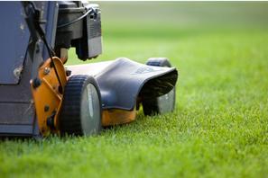 landscaping tips and tricks