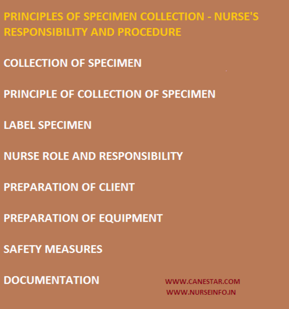 principles of specimen collection, nurse responsibility