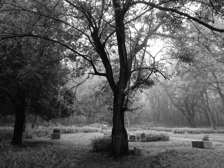 P-SB7 Spirit Box  Stories in the Cemetery