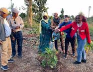 A picture of the delegation during the Karura forest ceremonial tree planting