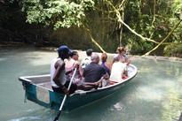 "Let Rocky's Taxi and Tour take you on an unforgettable journey through Port Antonio featuring Reach Falls, Frenchman's Cove and scenic coastline views"