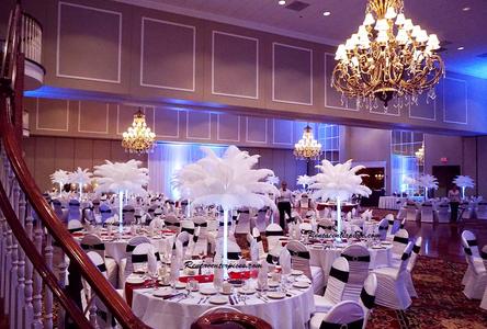 Rent Ostrich Feather centerpieces Los Angeles California