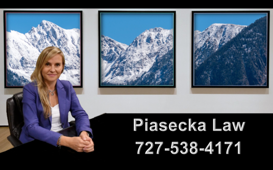 Agnieszka Aga Piasecka Law Prawnik Adwokat Imigracja Emigracja Immigration Attorney Colorado Springs