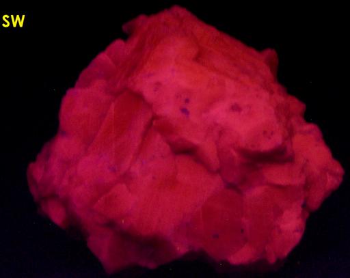 fluorescent SALMON CALCITE, Passaic Pit (Passaic Mine; Marshall Mine), Sterling Hill, Ogdensburg, Franklin Mining District, Sussex County, New Jersey, USA