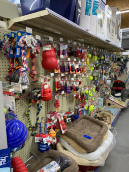 Dogs and Cats Pet Store Remington Feed Riverview Florida