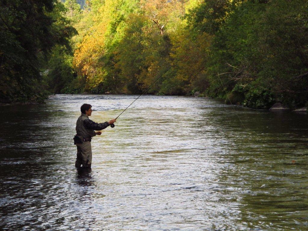 Trinity River Guided Fly Fishing Trips