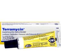 Terramycin Opthalmic Ointment