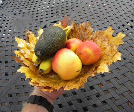 Easy DIY Mod Podge leaf basket. www.DIYeasycrafts.com