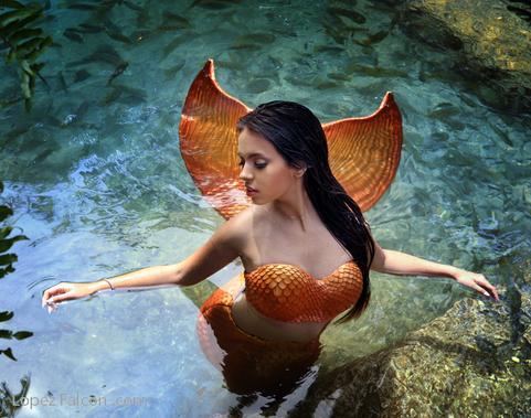 Quinceanera photography mermaid theme Underwater quinceanera photography in miami