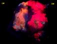 fluorescent TUGTUPITE with AEGIRINE - Ilimaussaq complex, Narsaq, Kujalleq (Kitaa Province - West Greenland), Greenland, Denmark - type locality - for sale