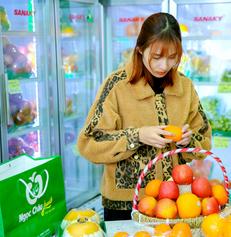 8 cửa hàng hoa quả nhập khẩu - Ngọc Châu fruits
