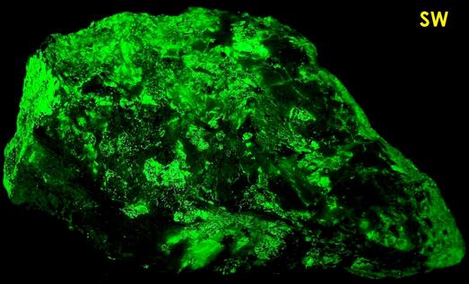 MCGOVERNITE, fluorescing WILLEMITE, CALCITE, FRANKLINITE - Sterling Mine, Sterling Hill, Ogdensburg, Franklin Mining District, Sussex County, New Jersey, USA - type tocality - ex Franklin Mining Museum