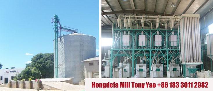 50T wheat flour mill in Zimbabwe