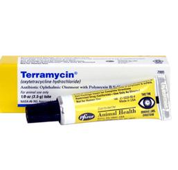 Terramycin Opthalmic Ointment