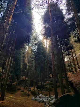 One Day Shillong Tour Package from Guwahati