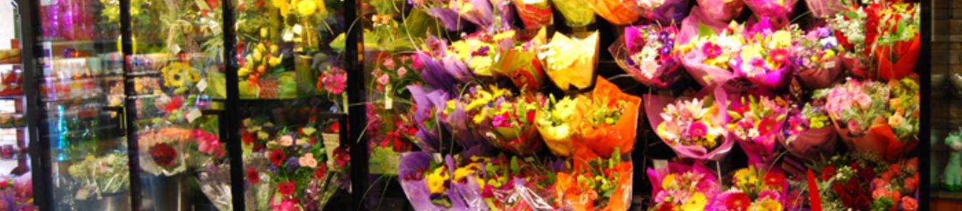 Flower Display Case Refrigerator