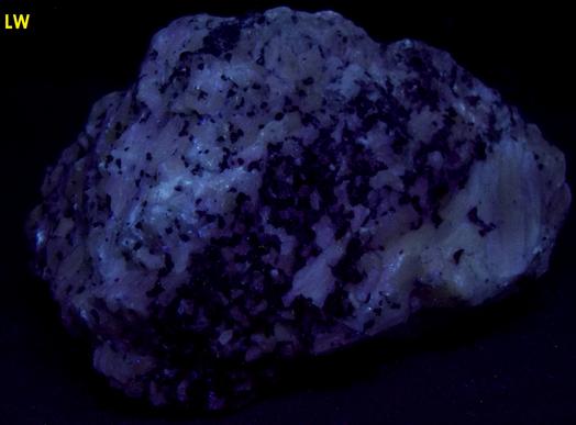 WOLLASTONITE crystals, DIOPSIDE, ANDRADITE GROSSULAR GARNET - Lewis Mine (Cabot Corporation Mine, Lewis NYCO mine), Willsboro, Essex County, New York, USA - ex Rutgers Geology Museum