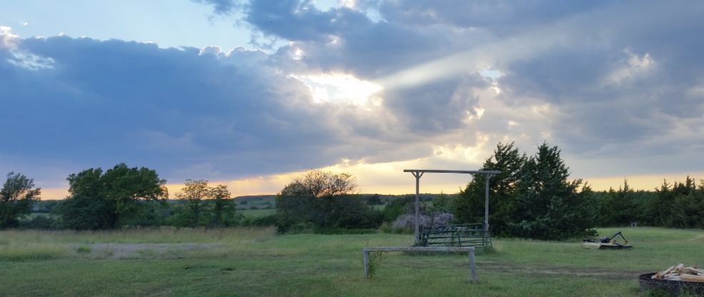 Image of our farmland