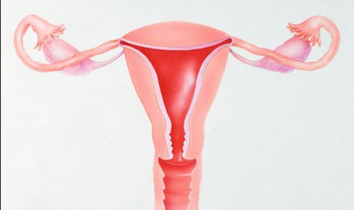 Polycystic Ovary Syndrome (PCOS) - Dr. Joel Wallach B.S.,D.V.M.,N.D.