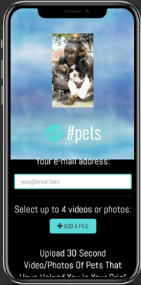 Upload Video or Photos Of Pets That Have Helped You In Your Grief Journey