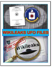 Secret government files from WikiLeaks
