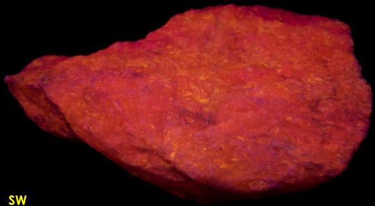 fluorescent CLINO-SUENOITE Manganocummingtonite and TREMOLITE - International Talc Company Mine No.8 (Reynolds Mine), Talcville, St. Lawrence County, New York, USA