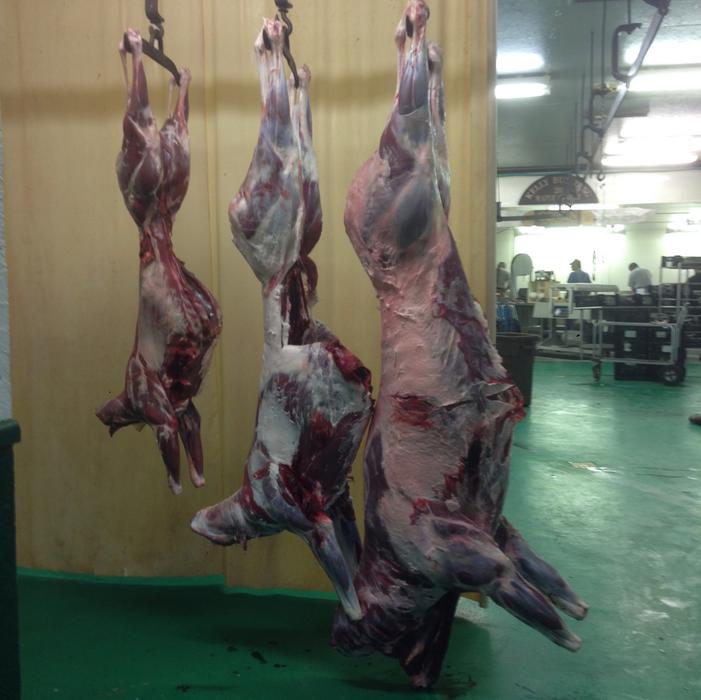 Large Deer Processing: Field Dressed weight: 146 to 189 lbs add $25.00 * 190 lbs and above add $50.00