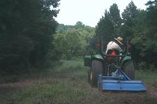 Kentucky deer hunts