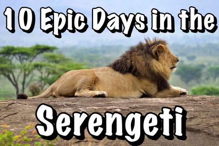 2025 African Safari in the Serengeti at TAASA Lodge