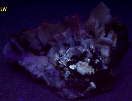 fluorescent CERUSSITE - Superfund site - Bunker Hill Mine (Tyler; Stemwinder; Bunker Hill and Sullivan; Bunker Chance Mine), Bunker Hill properties, Kellogg, Coeur d'Alene District, Shoshone County, Idaho, USA