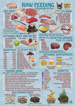 Cane corso 2025 food chart