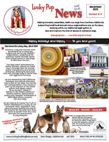 lucky pup dog rescue newsletter dec 2024