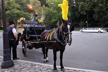 Central Park Tour NYC