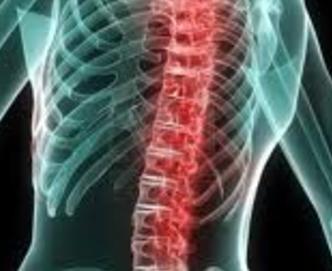 Excellet Spinal Manipulation