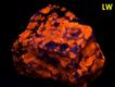 fluorescing SODALITE, AEGIRINE Acmite, FELDSPAR - Poudrette quarry (Demix quarry; Uni-Mix quarry; Desourdy quarry; Carrière Mont Saint-Hilaire; MSH), Mont Saint-Hilaire, La Vallée-du-Richelieu RCM, Montérégie, Québec, Canada