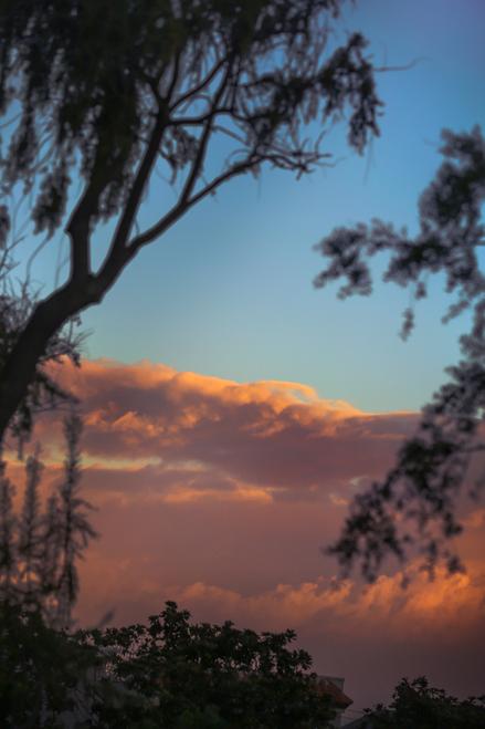 orange sunset clouds over azure blue sky in forest
