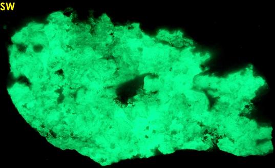 fluorescing Opal-AN Hyalite, Almandine garnet, Smoky Quartz, Muscovite mica, Albite, Spruce Pine, Spruce Pine District, Mitchell County, North Carolina, USA