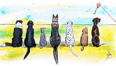 border collie, black Labrador, Schnauzer, German Shepherd, Dalmatian, Cockapoo, German Shorthaired Pointer