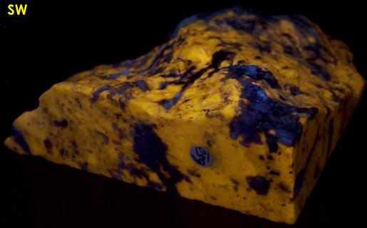 fluorescent SCAPOLITE WERNERITE, Marialite-Meionite, TREMOLITE, PYRITE - Grenville Scapolite Prospect, Grenville-sur-la-Rouge, Argenteuil RCM, Laurentides, Québec, Canada - ex Grace and Kennard Borden, ex Morris Museum