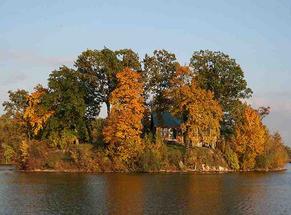 Fall trees lake shore of Sylvan Lake